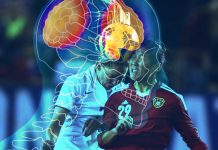 Do Headers In Soccer Lead to Brain Injuries? Headers Soccer Concussions Brain Injuries