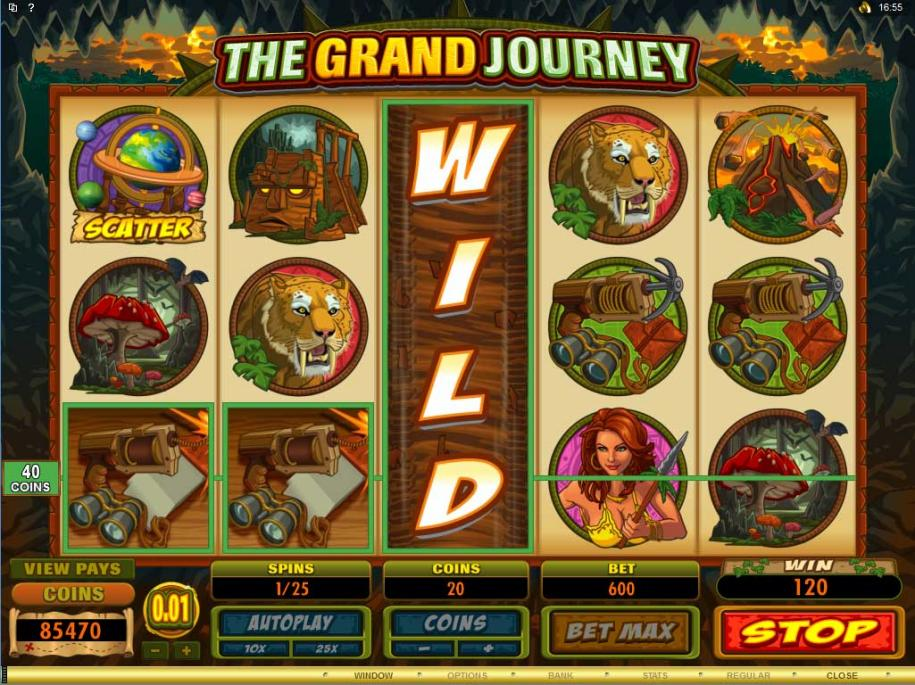 Expanding Wild slot online